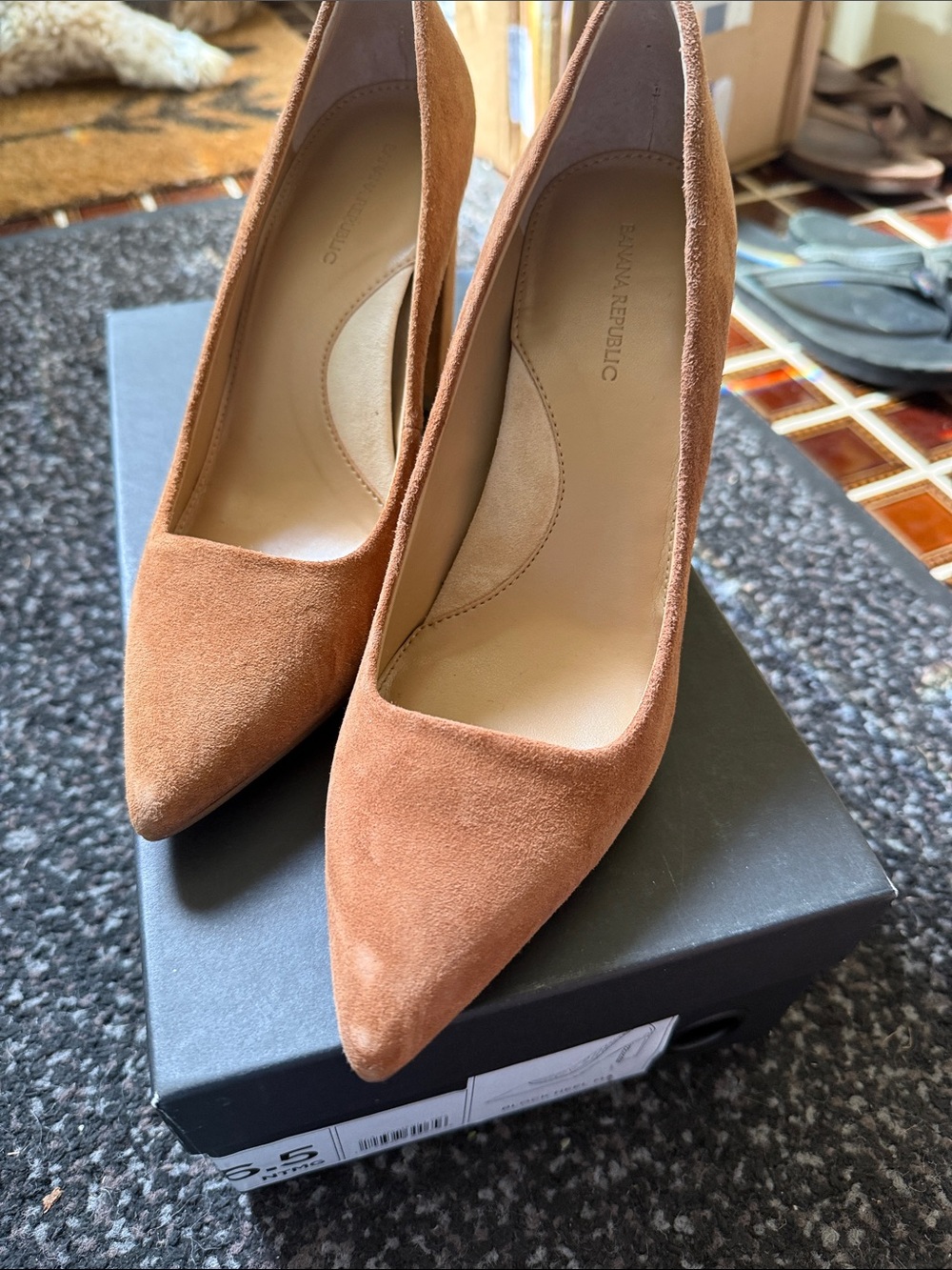 Banana Republic Suede Pointed-Toe Pumps in Cognac